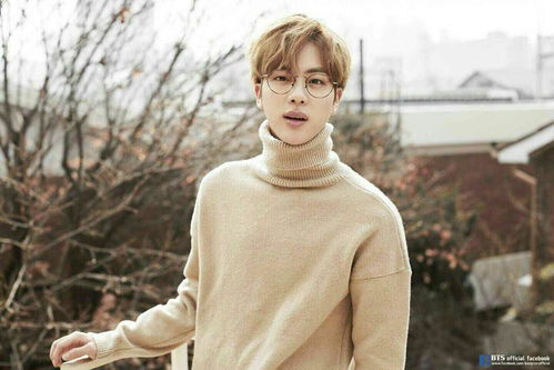 金碩珍對(duì)防彈少年團(tuán)有什么貢獻(xiàn)